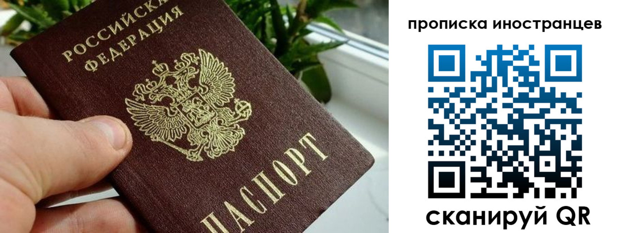 временная регистрация в Осташкове